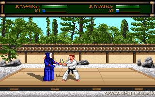 Budokan: The Martial Spirit - PC DOS (VGA)